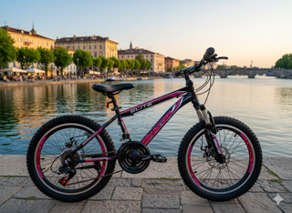 دوچرخه سایز ۲۰ کوهستان ترمز دیسکی  مدل Elite